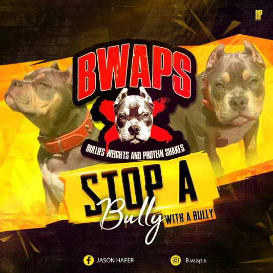 Stop a Bully with a Bully